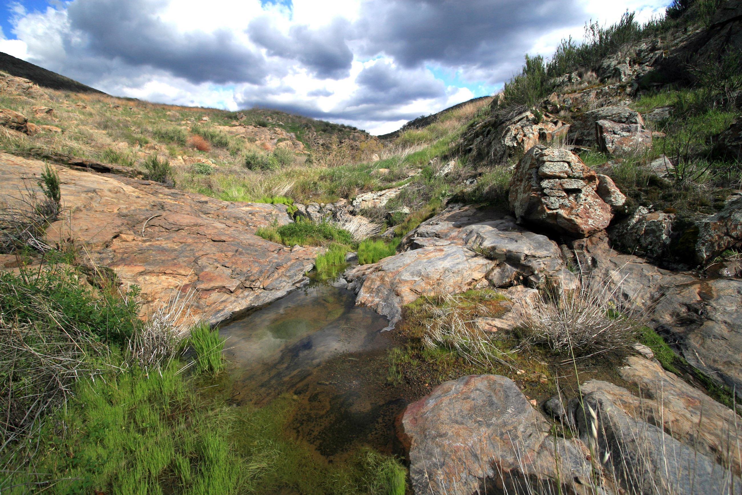 SW Multi-Species Reserve Opens in new window