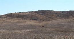 Field atop Steele Peak